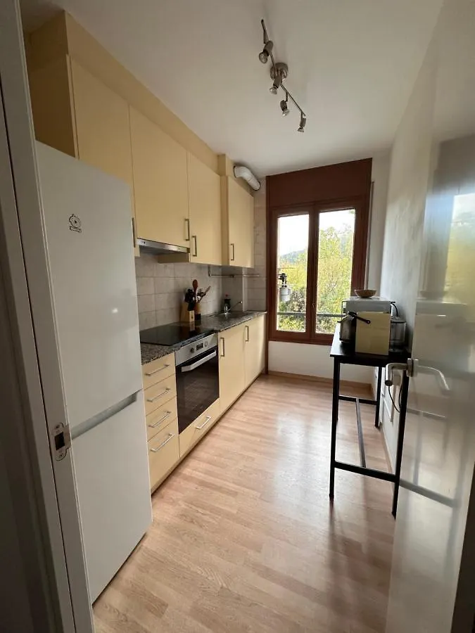 El Bressol De La Muntanya Apartment Ripoll Spain